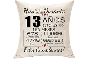 Hasodeo Has Sido Amado Durante 13 Años Regalos para Niña y Niño Celebrar 13º Cumpleaños Decoración Cojín Funda Regalos para Hija Hijo Sobrina Sobrino Nieta Nieto Hijastra Hijastro (13)