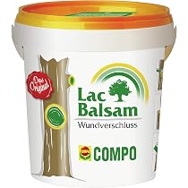 Neudorff Peinture Bio Pour Arbres Fruitiers – Blanchiment Et Entretien à Base De Chaux – 2 X 2 Litres