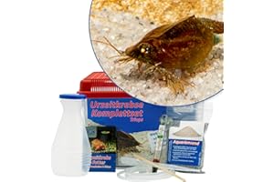 AQ4Aquaristik Triops cancriformis Starterset: Urzeitkrebse ca. 100 Eier, 2,5 l Aquarium, Zubehör, Futter und Anleitung