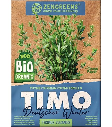 Semi Di Timo Strisciante 2000 Pz - Pianta Aromatica Perenne Per Giardino, Balcone E Api - Foto 5