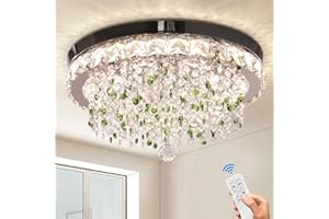 Finktonglan Candelera de cristal de mal humor lámpara de araña de cristal moderna con control remoto, luz de techo de cristal LED, iluminación de techo de cristal para salas de estar de dormitorios