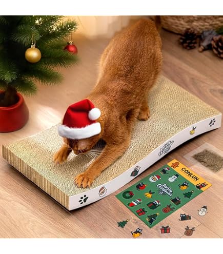 Conlun 2-in-1 Cat Scratcher Box With Pads & Toys - Cardboard Lounge Bed For Multiple Cats (16.5x9x4in)