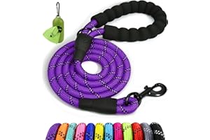 Taglory Correa de Perro, Correa de Fuerte de Perro para Perros Grandes con Mango Acolchado Suave y Hilos Reflectantes, 1.2 m x 1.2 cm, Morado