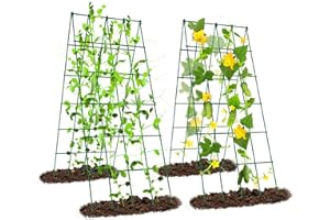 Ytaoeo Metall Gurke Rankgitter Tomaten Rankhilfe Garten 2 Stück, Spalier Gitternetz Kletterpflanzen Pflanzenstütze für Blumen & Nutzpflanzen, Einstellbare Breite, Grün