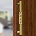 Plantex Stainless Steel Aura Main Door Main Door Pull Handle/Door Handles For Main Door/Wooden & Glass Door Handle (14 Inch, Pvd Gold Finish) - 3 Years Warranty