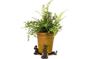 Potty Feet Wallace and Gromit Figures Plant Pot Feet - Planter Support - Handmade Decorative Ornaments - 3pcs