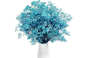 Gipizi Schleierkraut Getrocknet Blau, Natürliche Gypsophila Getrocknet Trockenblumen über 3000 Blütenknospe, Blau Gypsophila Trockenblumen für Schleierkraut für Hochzeit, Heimdeko