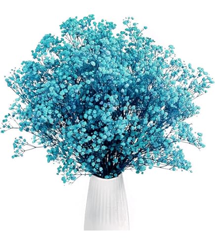 Mazzo Di Fiori Secchi Bouquet Di Fiori Naturali Fiori Tutto