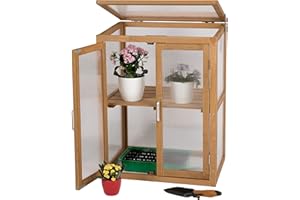 needs&wants® Mini Gewächshaus Treibhaus klein Winterfest aus Holz für Balkon Garten Indoor, Frühbeet Hochbeet Pflanzschrank Anzuchthaus, 56x43x76 cm, Polycarbonat