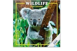 Grupo Erik - Calendrier 2026 Mural Animaux Vie Sauvage - Calendrier Mural 2026 Mensuel │ Idee Cadeau : Calendriers Muraux │ De Janvier à Décembre : Espace pour notes et Illustrations (30x60 cm)