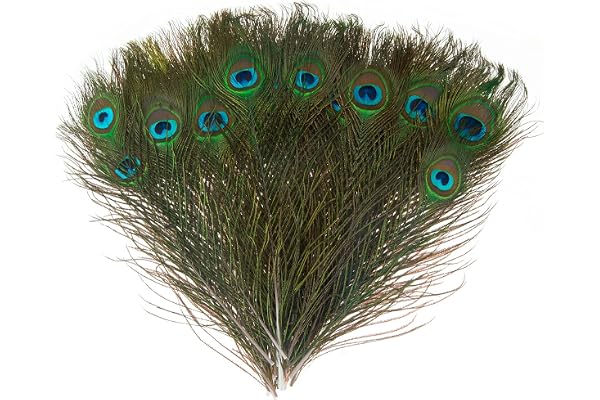 MWOOT 30 Pièces Plumes de Paon, Plumes D'oeil de Paon Vert pour Artisanat de Bricolage, Plumes de Queue de Paon pour Carnival Revelry Masquerade Costume Wedding Holiday Party Decoration (28-32CM)