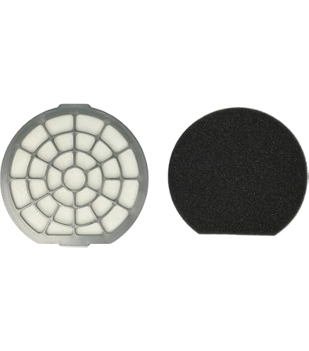Vhbw set da 2x filtro compatibile con Dirt Devil DD5110 Infinity AC aspirapolvere - Filtro HEPA anallergico | Leroy Merlin