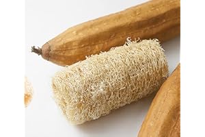 SEMISAUVAGE 10 Semillas de Calabaza Esponja - Luffa - Esponja natural - Semillas campesinas