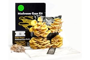 Urban Farm-It Mushroom Growing Kit (XL Golden Oyster) | Gardening Gifts for Women, Men & Kids | Code to Claim Free Spawn & Begin Growing When Ready | Fun, Educational, Easy to Use & Delicious to Eat
