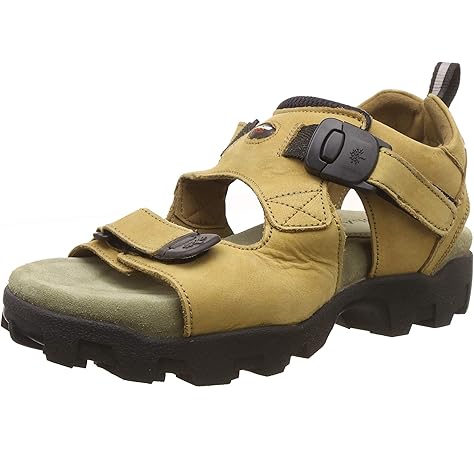 woodland ogd 0350107