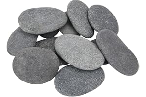 FYUUUCN 12 Stück Flache Steine zum Bemalen, Große Kieselsteine, Mandala Malsteine Glatte Naturstein Strand Kiesel Flusskiesel für Bemalen, Steine zum Basteln Blumentöpfen und Garten/Aquarium Deko