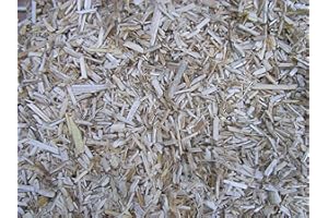 pemmiproducts Camada de cáñamo de 10 litros (EUR 1,29/litro), camada de cáñamo 100% como jaula cubierta de suelo para conejos, cobayas, ratas y otros roedores, así como para serpientes, tortugas