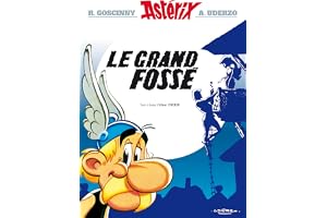Asterix - Le Grand Fossé - n°25