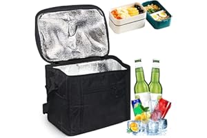 SUNSHINE SMILE Borsa Frigo Termica 10L Piccola Pieghevole, per Pranzo, Picnic, Barbecue,Campeggio,Viaggio, All'aperto, Isotermica (Nero)