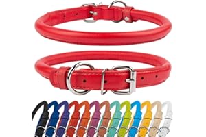 CollarDirect Collar Perro Cuero Redondo, Collar Resistente Antienredos para Cachorros Suave y Acolchado, Piel Genuina Hecho a Mano para Perros Grandes Pequeños y Medianos, Collares para Gato