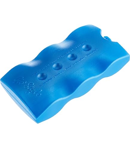 PeranoRidia Zachte koeltas 30L, geïsoleerde koeltas groot voor eten, picknicktas thermische mannen vrouwen volwassenen, verpakte koude tas voor strand kamperen BBQ familie buitenactiviteiten, grijs