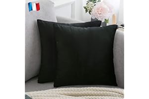 Douceur De Plumes Lot de 2 Housse de Coussin décorative Noir Velours 45x45 cm Uni, Taie d'oreiller Carré Doux et Moderne, Décoration Salon Scandinave Canapé Chambre (2 Noir)