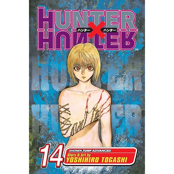 Hunter x Hunter, Vol. 19 (Volume 19): N.G.L.: Amazon.co.uk
