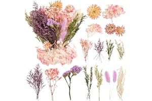 LAUMOE Trockenblume, Mini Trockenblumen Klein Getrocknete Blumen Trockenblumen Zum Basteln Set Trockenblume Bunt für DIY Hochzeitsdeko Wohnkultur