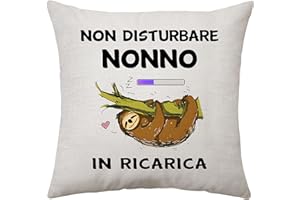 Aconesong Non Disturbare Nonno In Ricarica - Regali per Nonno Divertente Cuscino Copertura per Nonno Compleanno Festa del Papà Idea Regali per Lui Nonno Regali da Nipote Nipotina (Nonno)