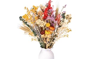 ‎LAUMOE LAUMOE 25 Stück Trockenblumen Groß Set, Trockenblumenstrauß Deko 42cm Strohblumen Getrocknete Blumen Vase mit Dried Flowers für Wohnzimmer Home Hochzeit Vasen Herbst Tischdeko