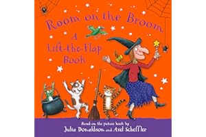 Room on the Broom: A Lift-the-Flap Book: with a surprise pop-up ending, the perfect gift for toddlers