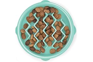 Outward Hound Fun Feeder Slo-Bowl - Comedero con obstáculos para Perros - Verde Menta - Pequeño/extrapequeño