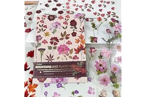 LXONTSG Florales Stickers, 20 Hojas Transparente Florales Pegatinas, Albumes de Recortes Flores Pegatinas, Florales Plantas Stickers, Pegatinas de Flores, Decorativas Transparente Stickers