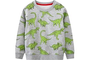 Gumyoss Boys Sweatshirts Toddler Boys Cotton Pullover Jumper Crew Neck Long Sleeve Tops for Little Kids Toddler Boys Clothes Age 2-7 Years