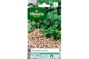 Vilmorin 5875046 Pack de Graines Coriandre Cultivée