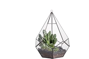 NCYP Geometric Hanging Glass Terrarium for Succulents, Fern Cacti, Air Plant - Modern Diamond Shape, Indoor Garden Tabletop Clear Planter Pot, Handmade, Large (Terrarium Only)