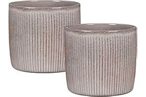 ‎SCHEURICH Scheurich Solido Linea, Blumentopf 2er Set aus Keramik, Farbe: Seashell, 15 cm Durchmesser, 13,7 cm hoch, 1,9 l Vol.