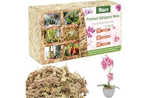 Riare 500g Sphaigne pour Plante Naturelle Compressé Sphaigne pour Orchidées Mélange pour Pot - pour la Culture de Plantes à la Maison,Fée Jardins (500g)