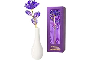 CHILDOM Mothers Day Flower Gifts for Mum Birthday Gifts for Women,Purple Mothers Day Rose With Vase Gifts,Mum Present for Women,Her,Wife,Grandma,Friends,Birthday,Anniversary