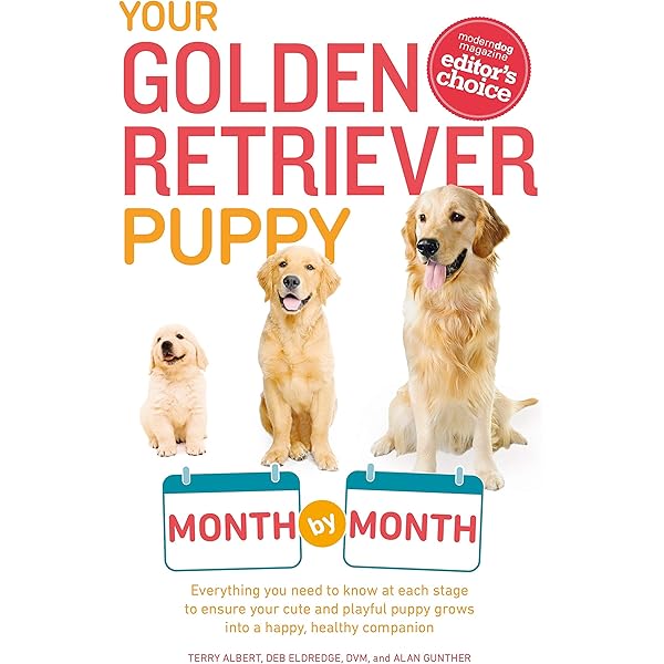 Your Golden Retriever Puppy Month By Month Everything You Need To Know At Each Stage To Ensure Your Cute And Playful Puppy By Albert Terry Eldredge Debra Amazon Ae
