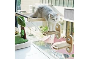 PETKARAY Cat Perch & Hammock, Foldable Indoor Cat Window Shelves, 2 Pack Window Stairs