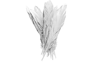 MIJOMA Lot de 12 véritables plumes décoratives pour mariage, Noël, travaux manuels, masques, costumes Halloween et carnaval (18-20 cm, argenté)