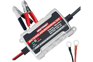 ‎DINO KRAFTPAKET Dino KRAFTPAKET 750mAh-6V/12V Erhaltungsladegerät/Intelligentes und voll-automatisches Ladungserhaltungsgerät/Für Blei-Säure, GEL, EFB, AGM-Batterie/KFZ-Batterie-Ladegerät Auto, Motorrad, PKW, Boot