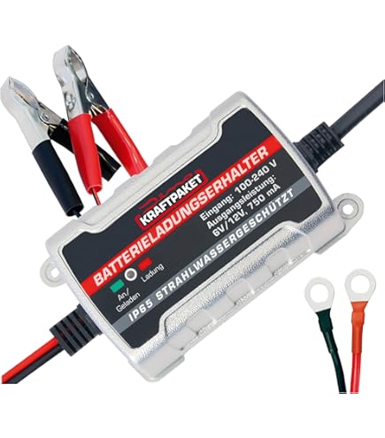ANSMANN Acculader ALCS 2 24 A Volautom. Voor Het Opladen Van Auto Accu S En Loodaccu S Met V 6 12 V V 900 Ma Incl Druppellading Personenauto S Motorfietsen Scooters 688929143 ANSMANN Acculader ALCS 2 24 A Volautom. Voor Het Opladen Van Auto Accu S En Loodaccu S Met V 6 12 V V 900 Ma Incl Druppellading Personenauto S Motorfietsen Scooters 688929143