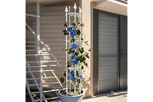 Thealyn Krata ogrodowa, 2 sztuki, 182 cm wys. x 31 cm szer. metalowa kratka na rośliny, do użytku wewnątrz i na zewnątrz, metalowa krata, do roślin doniczkowych, pnących, roślin doniczkowych, kwiatów,