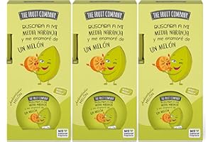 The Fruit Company - Ambientador Mikado Melón 40 ml. Difusor de varillas perfumadas. (3 ud.)