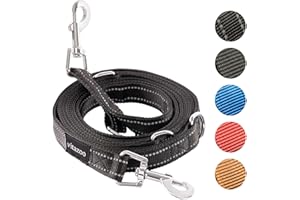vitazoo Hundeleine - 3mx2,5cm - Nylon-Graphit Leine mit Karabinern für Kleine, Mittelgroße und Große Hunde - Verstellbare Führleine mit 4 Verschiedenen Längen in Schwarz Reflektierend für Ihren Hund