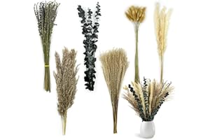 CYZBL 100PCS Pampas Grass Bouquet Decor - 40cm Natural Dried Flowers for Wedding/Party/Home Decor, 6 Different Flower Variants DIY Boho Plant Arrangement for Decorations