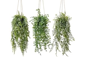 YVONNEYI 3 Pièces Plante Artificielle Tombante avec Pots, Plantes Artificielles Interieur pour Decoration Chambre, Fausse Plante Suspendue pour Maison Salle de Bain Bureaux Décoration-033