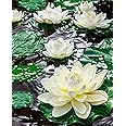 Homesake® Artificial Floating Foam Lotus Flower with Water Lily Pad, Lifelike Ornanment Perfect for Home Garden Pond Decoration Puja, 10 cm, Set of 6 (White)